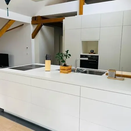 Traumvilla Im Herzen Hainichens Apartment